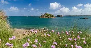 Recyclage Écologique