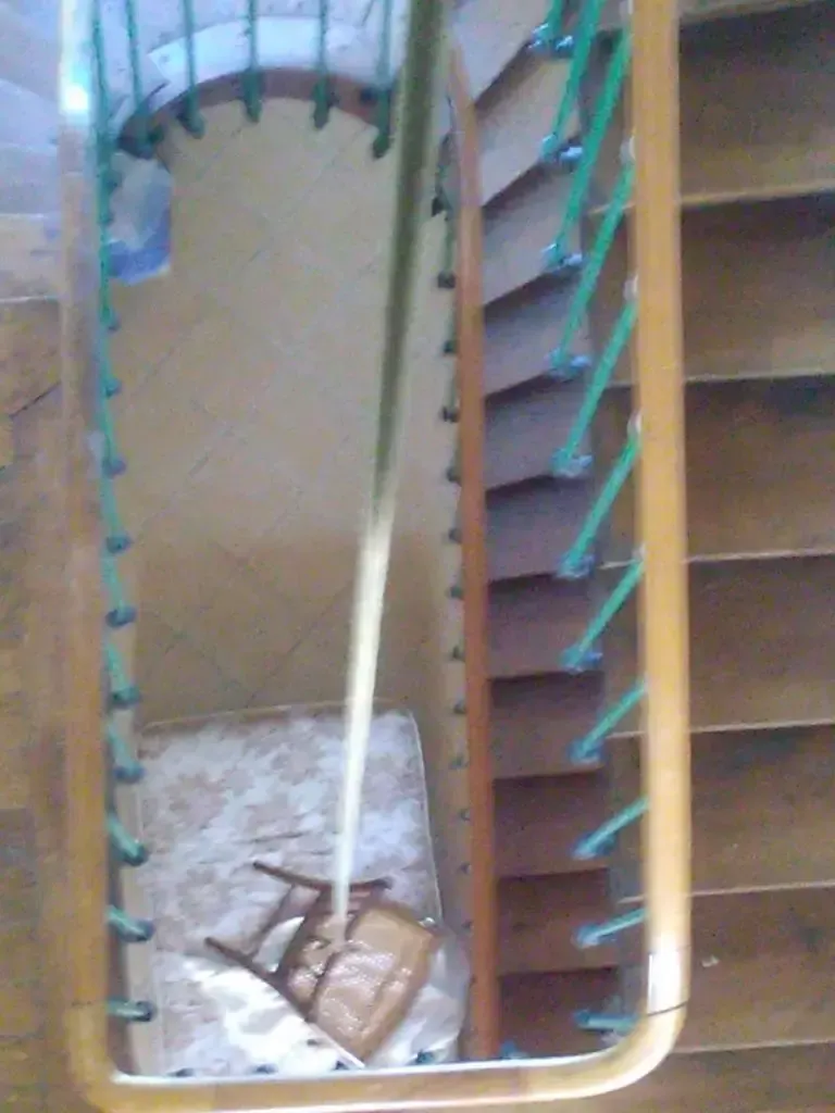 Débarras et Assurance Professionnelle