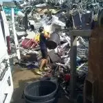 Débarras Diogène Maladie Syndrome