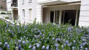 Débarras Grand Appartement Moderne 230m2