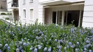 Débarras Grand Appartement Moderne 230m2