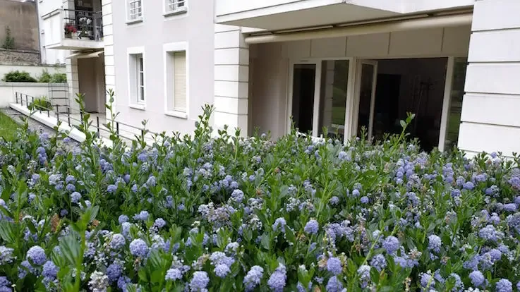 Débarras Grand Appartement Moderne 230m2